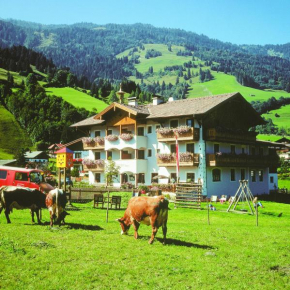 Гостиница Unterbergerwirt, Дорфгаштайн